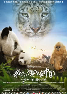 爱在漫天烽火时